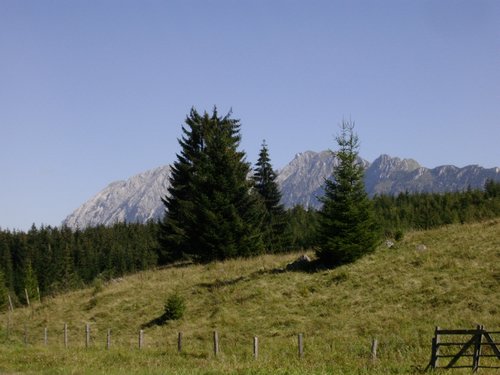 web_dr027.JPG